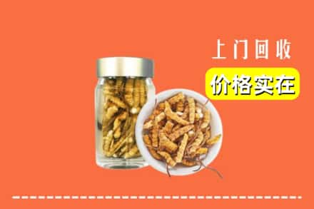 陈仓区回收散虫草