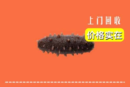 陈仓区回收海参