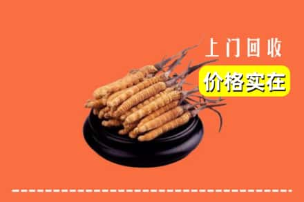 陈仓区回收冬虫夏草