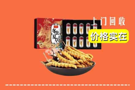 陈仓区回收虫草